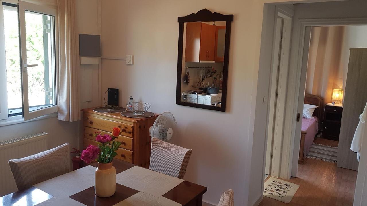 Olga'S Cozy Nest , Apartment In Ano Korakiana. 部屋 写真