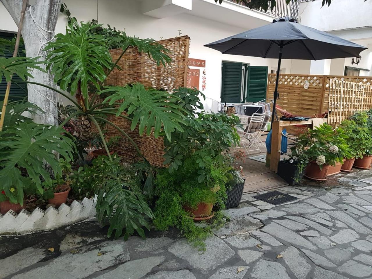 Olga'S Cozy Nest , Apartment In Ano Korakiana. エクステリア 写真